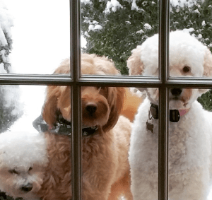 Screen Shot 2015-08-12 at 11.07.14 AM