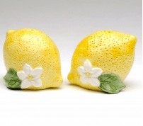 Screen Shot 2015-08-25 at 8.10.47 AM