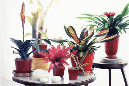 ccd457db4e491c69158d2333fcff7d84